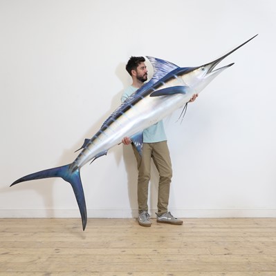 Lot 443 - Taxidermy: a blue marlin fishing trophy