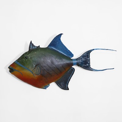 Lot 442 - Taxidermy: a triggerfish fishing trophy