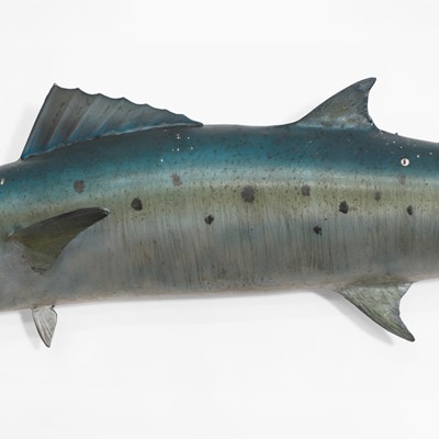 Lot 328 - Taxidermy: a dorado fishing trophy
