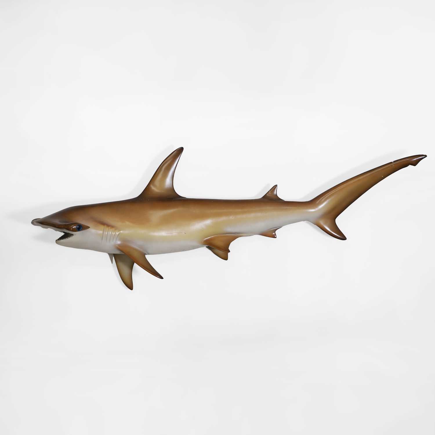 Lot 326 - A hammerhead shark fishing trophy