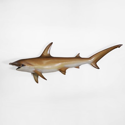 Lot 445 - A hammerhead shark fishing trophy