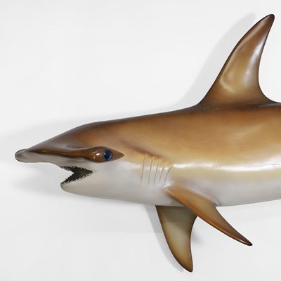 Lot 326 - A hammerhead shark fishing trophy