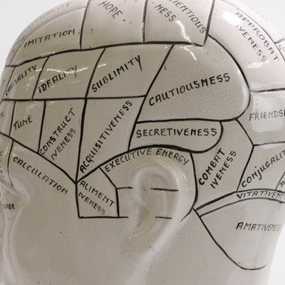 Lot 462 - A medical pottery phrenology bust