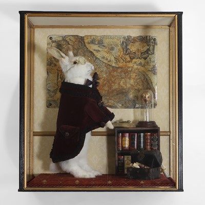 Lot 52 - Taxidermy: a smartly dressed white rabbit
