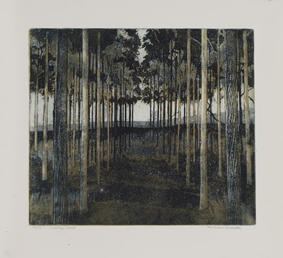 Lot 9 - Richard Bawden RWS NEAC RE (b.1936)