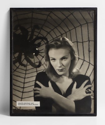 Lot 50 - A witch and spider photograph