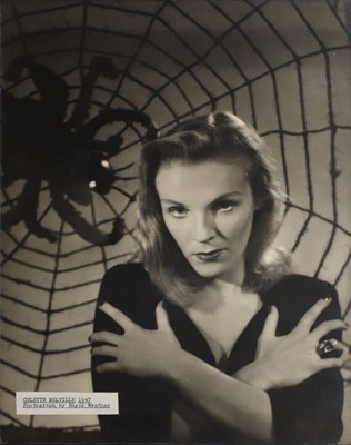 Lot 50 - A witch and spider photograph
