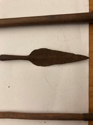 Lot 94 - A collection of arrows and spears