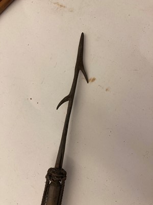 Lot 94 - A collection of arrows and spears