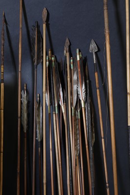 Lot 94 - A collection of arrows and spears