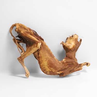 Lot 48 - A mummified cat