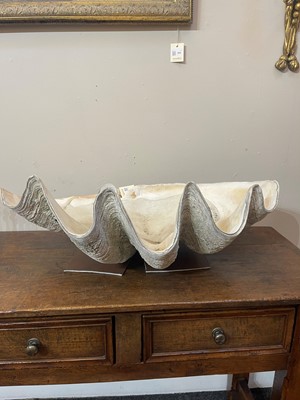 Lot 458 - A pair of giant clam shells (Tridacna gigas)