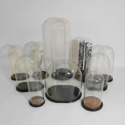 Lot 36 - A group of ten Victorian glass domes