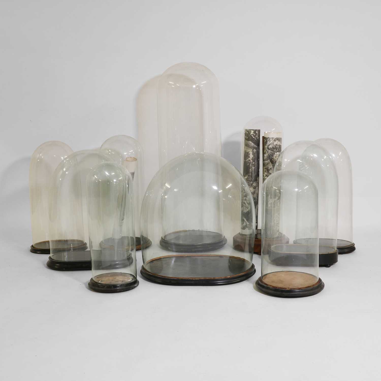 Lot 36 - A group of ten Victorian glass domes