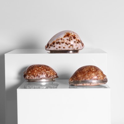Lot 1 - A group of three silver-mounted cowrie shell snuffboxes