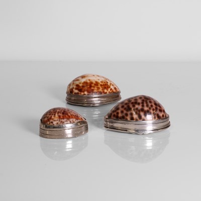 Lot 16 - Two silver-mounted cowrie shell snuffboxes