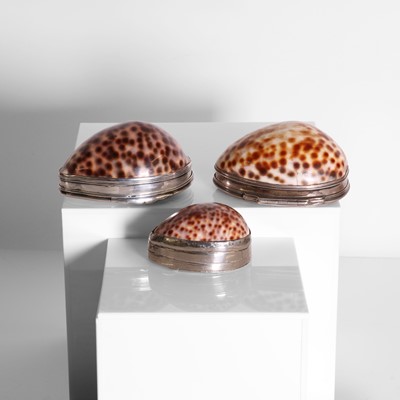 Lot 16 - Two silver-mounted cowrie shell snuffboxes