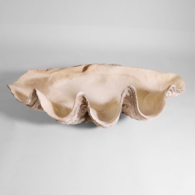 Lot 216 - A giant clam shell (Tridacna gigas)