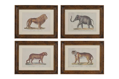 Lot 525 - Four studies of African and Asian animals after Karl Joseph Brodtmann