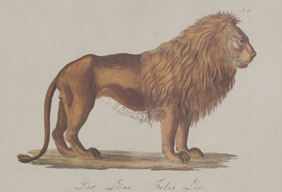 Lot 525 - Four studies of African and Asian animals after Karl Joseph Brodtmann