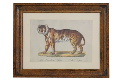 Lot 525 - Four studies of African and Asian animals after Karl Joseph Brodtmann