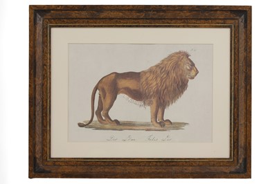 Lot 525 - Four studies of African and Asian animals after Karl Joseph Brodtmann