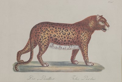 Lot 525 - Four studies of African and Asian animals after Karl Joseph Brodtmann
