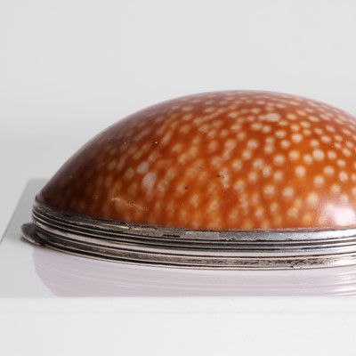 Lot 57 - A silver-mounted cowrie shell snuffbox