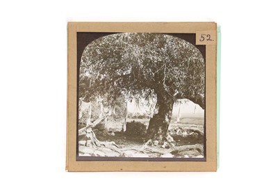 Lot 197 - A collection of photographic magic lantern slides
