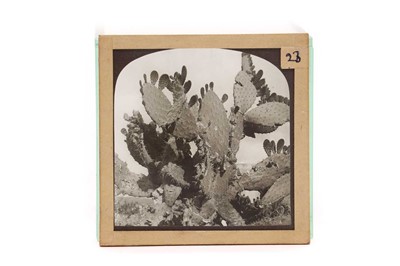 Lot 197 - A collection of photographic magic lantern slides