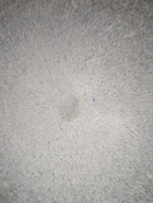 Lot 251 - Alan Spencer-Green (1932-2003)