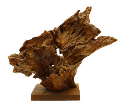 Lot 144 - An oak wood specimen