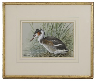 Lot 396 - Basil Ede (1931-2016)