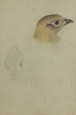 Lot 411 - Attributed to Archibald Thorburn (1860-1935)