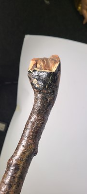 Lot 10 - A Victorian carved beech walking stick