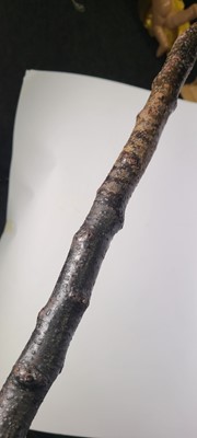 Lot 10 - A Victorian carved beech walking stick