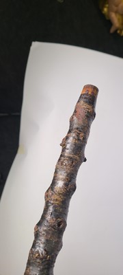 Lot 10 - A Victorian carved beech walking stick