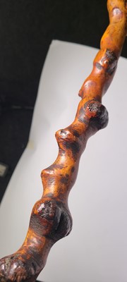 Lot 10 - A Victorian carved beech walking stick