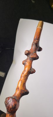 Lot 10 - A Victorian carved beech walking stick