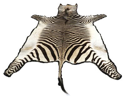 Lot 325 - A zebra skin rug