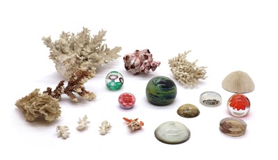 Lot 255 - A collection of mixed coral