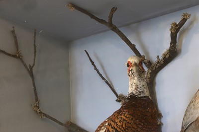 Lot 40 - A large taxidermy display