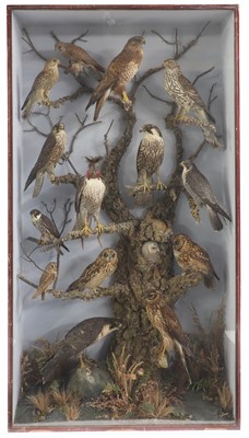 Lot 42 - A large taxidermy display