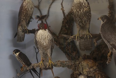 Lot 42 - A large taxidermy display