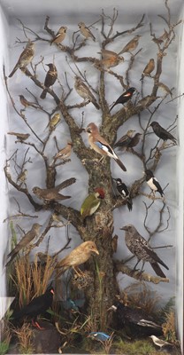 Lot 41 - A large taxidermy display