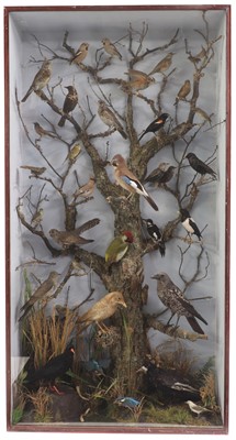 Lot 41 - A large taxidermy display