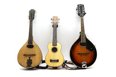 Lot 176 - An Ozark Professional flat back mandolin