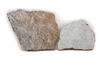 Lot 256 - Two crinoid fossil formations