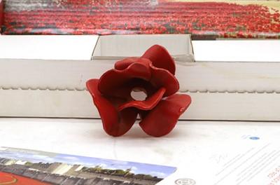 Lot 168 - A Tower of London 'Blood Swept Lands and Seas of Red' poppy