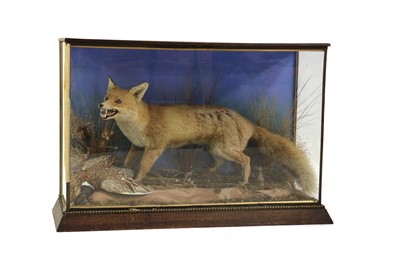 Lot 260 - A taxidermy fox and pheasant